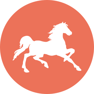 白马盘 logo